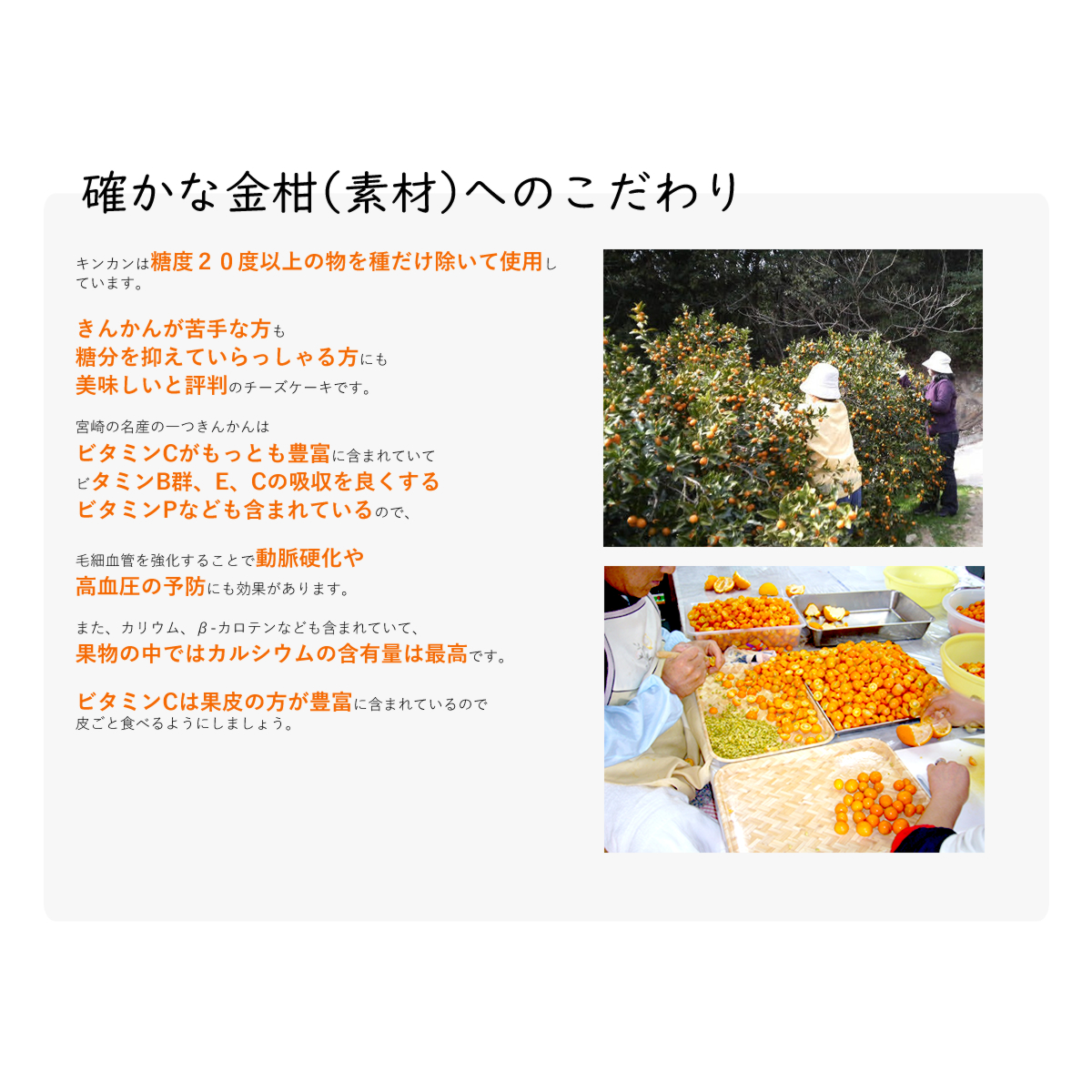 キンカンは糖度20度以上の物を種だけ除いて使用しています。
きんかんが苦手な方も
糖分を抑えていらっしゃる方にも
美味しいと評判のチーズケーキです。
宮崎の名産の一つきんかんは
ビタミンCがもっとも豊富に含まれていて
ビタミンB群、E、Cの吸収を良くする
ビタミンPなども含まれているので、
毛細血管を強化することで動脈硬化や
高血圧の予防にも効果があります。
また、カリウム、β-カロテンなども含まれていて、
果物の中ではカルシウムの含有量は最高です。
ビタミンCは果皮の方が豊富に含まれているので
皮ごと食べるようにしましょう。