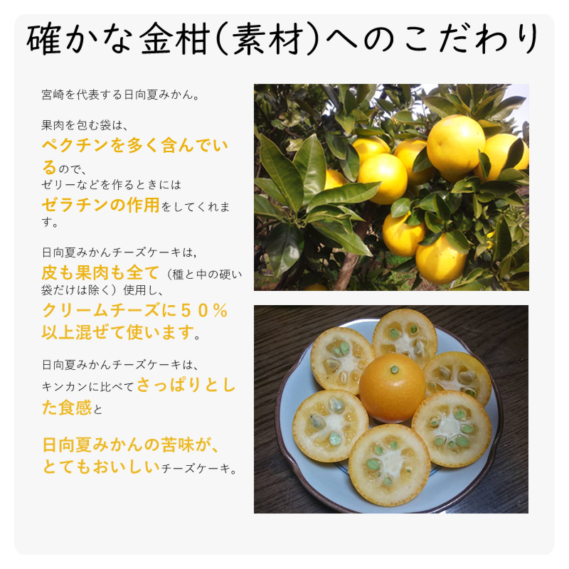 宮崎を代表する日向夏みかん。
果肉を包む袋は、
ペクチンを多く含んでいるので、
ゼリーなどを作るときには
ゼラチンの作用をしてくれます。
日向夏みかんチーズケーキは,
皮も果肉も全て(種と中の硬い袋だけは除く)使用し、
クリームチーズに50%以上混ぜて使います。
日向夏みかんチーズケーキは、
キンカンに比べてさっぱりとした食感と
日向夏みかんの苦味が、
とてもおいしいチーズケーキ。